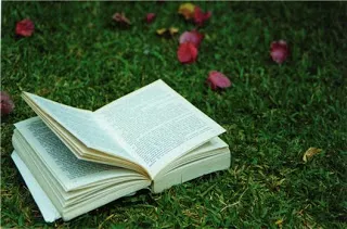 Lire sur l herbe