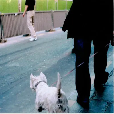 Lomo, le Parfait Imparfait : Mes Essais Lomographiques